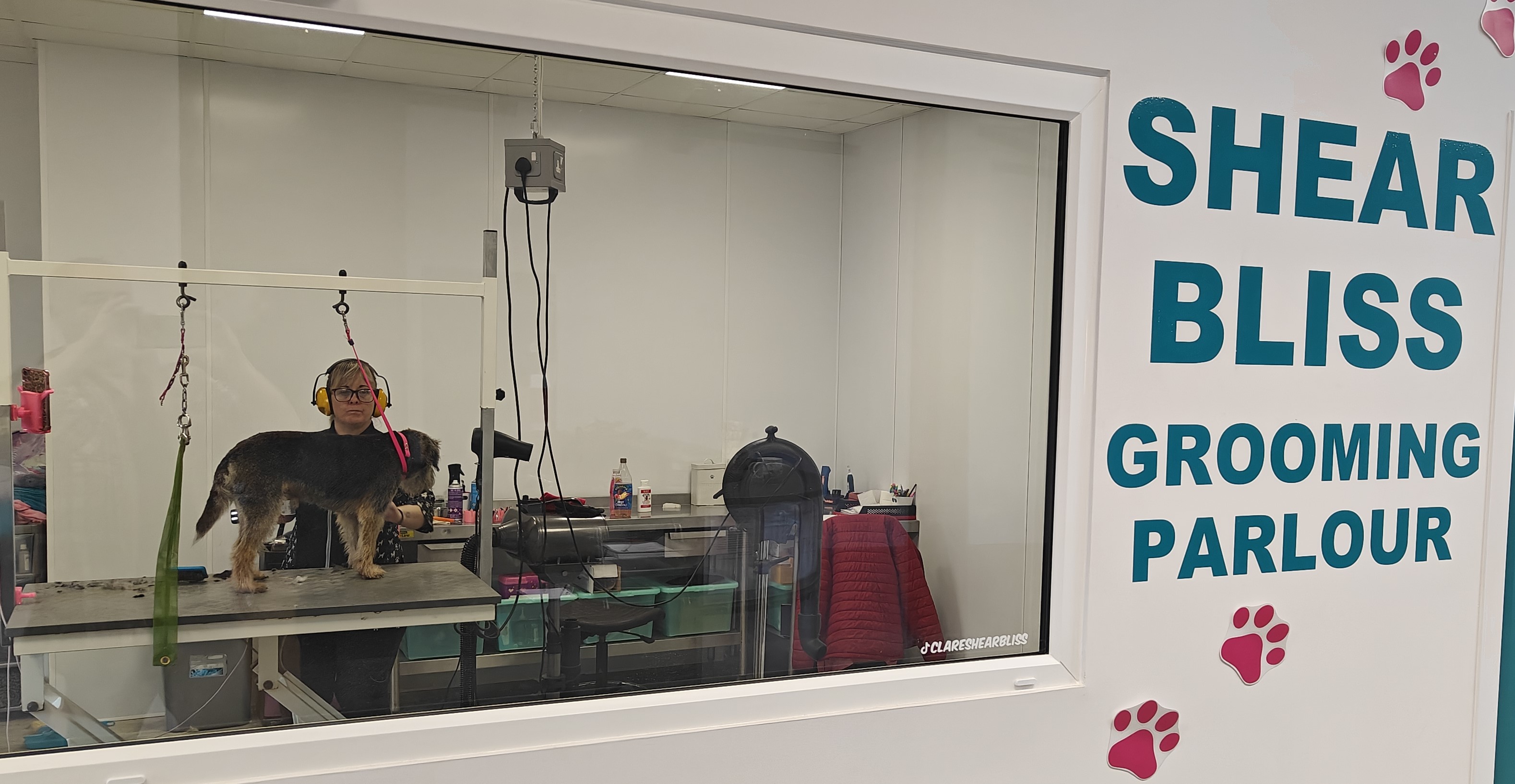 Gay Dog Boarding Kennels