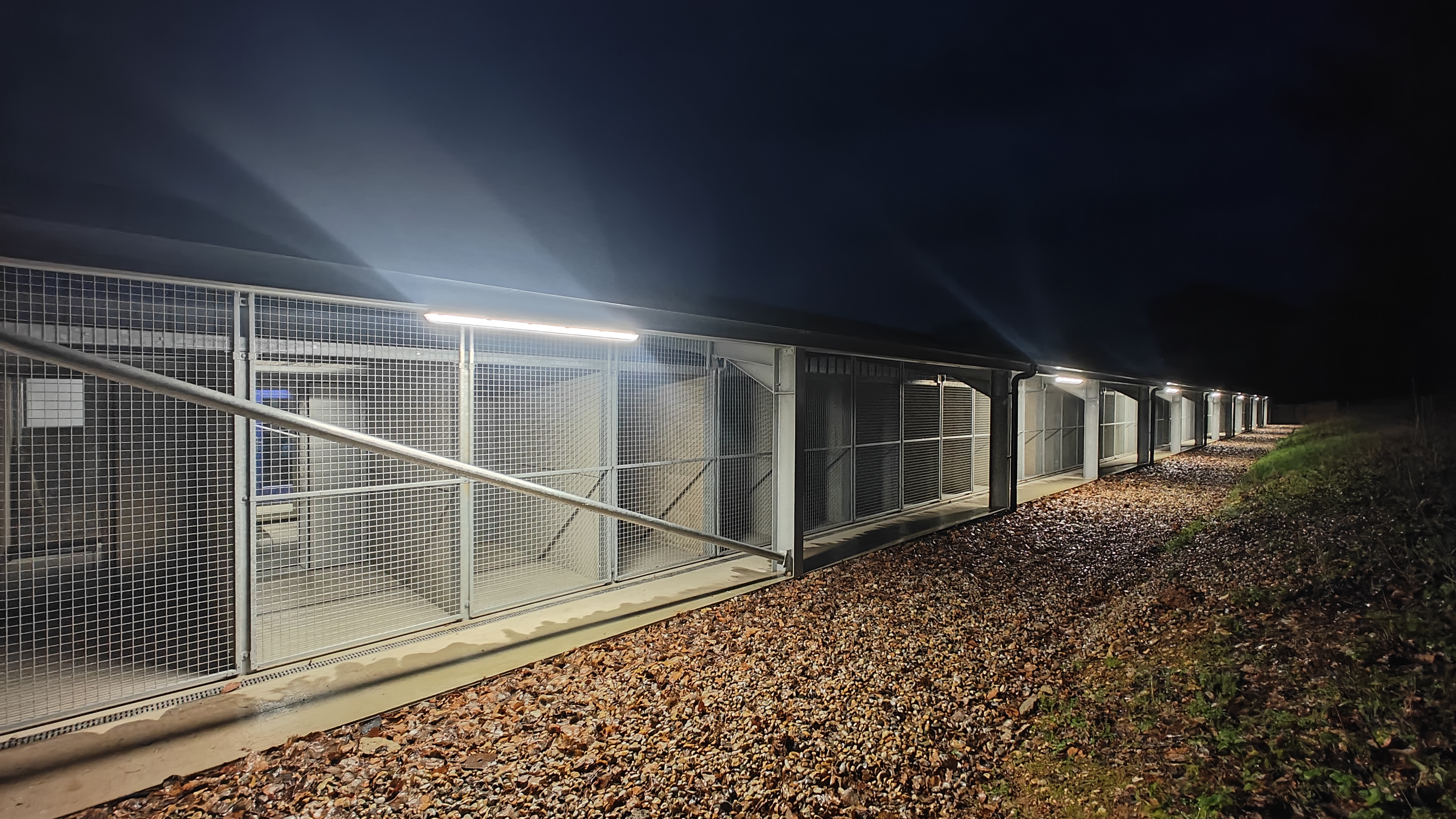 Gay Dog Boarding Kennels