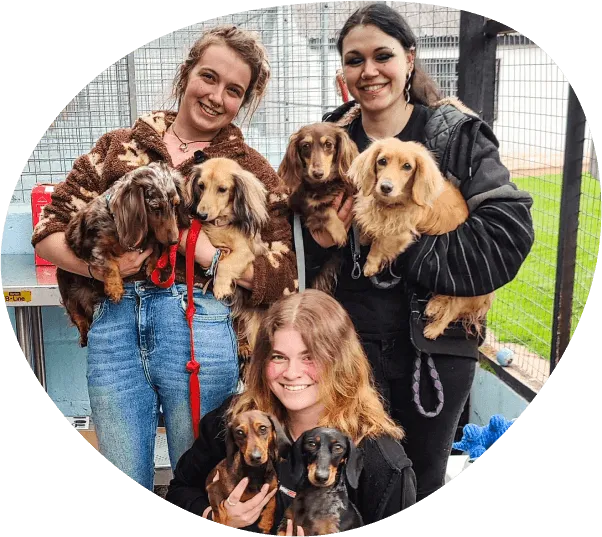 three girls with dogs